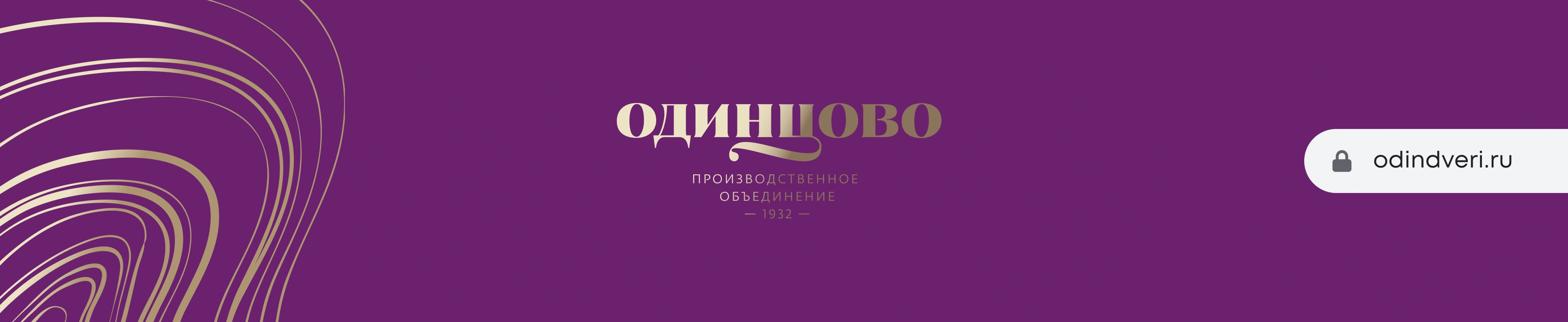 Фирменный стиль и название магазина OdinDveri.